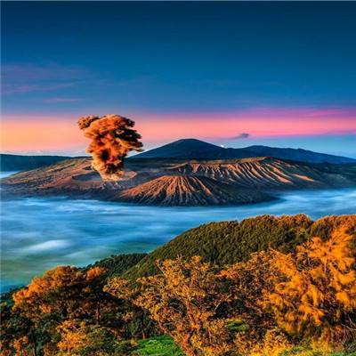 画画小公主游戏(暂未上线)v1.0 安卓版